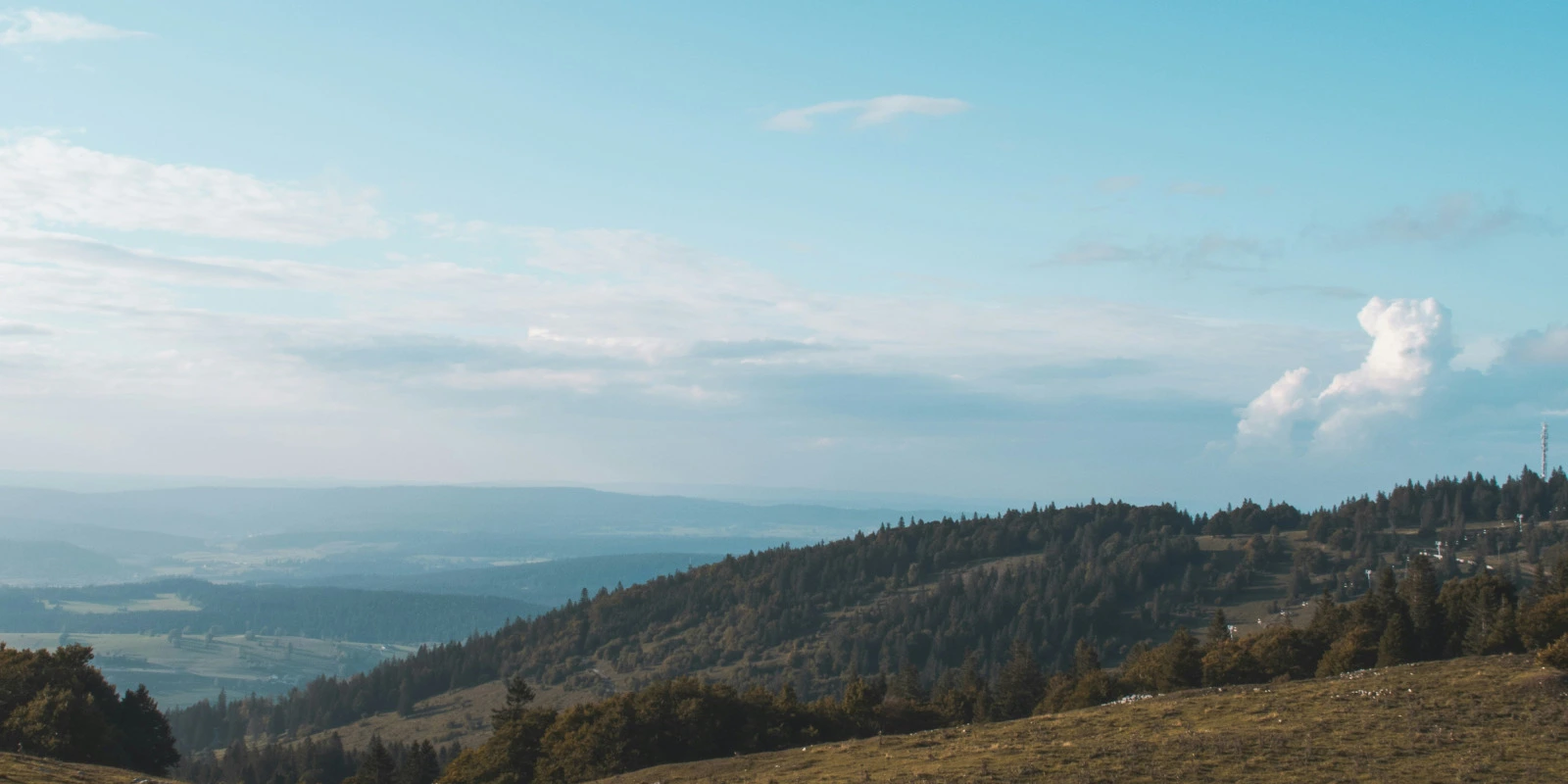 BUT GB (Génie Biologique) : Parcours Biologie Médicale