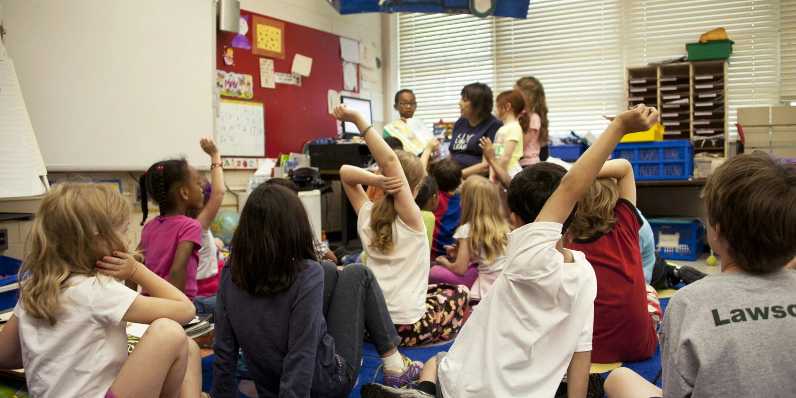 Formation en Génie Biologique à Lyon