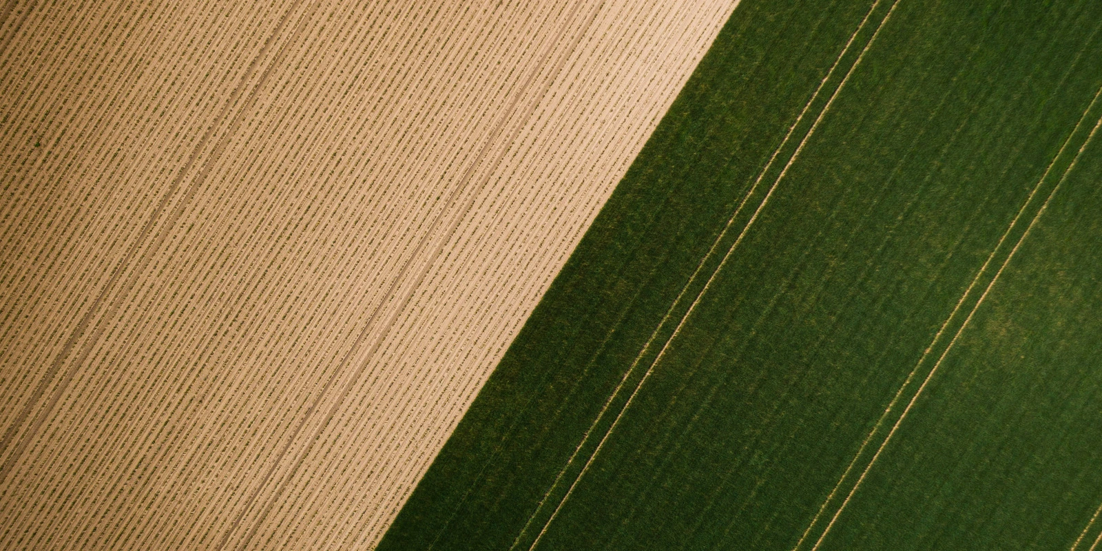 Les Débouchés de la Formation en Biologie